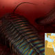 Experts say the current unrest in Syria is the third-bloodiest sequence in the region’s conflict, after the destructive coral wars of the Devonian period and the 270-million-year Trilobite Intifada.